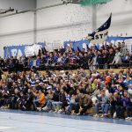 20241102_TSGMünster_vs_ESGGensungenFelsberg 017 20241102_TSGMünster_vs_ESGGensungenFelsberg 017