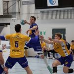 20250201_TSGMünster_vs_HSGBreckenheimWallauMassenheim 037 20250201_TSGMünster_vs_HSGBreckenheimWallauMassenheim 037