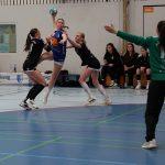 20250329_JBLH_TSGMünster_vs_SGTGAltdorfDJKEttenheim 062 20250329_JBLH_TSGMünster_vs_SGTGAltdorfDJKEttenheim 062