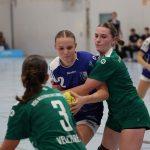 20251109_JBLH_TSGMünster_vs_HSGKleenheimLanggöns 112