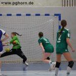 20251109_JBLH_TSGMünster_vs_HSGKleenheimLanggöns 126